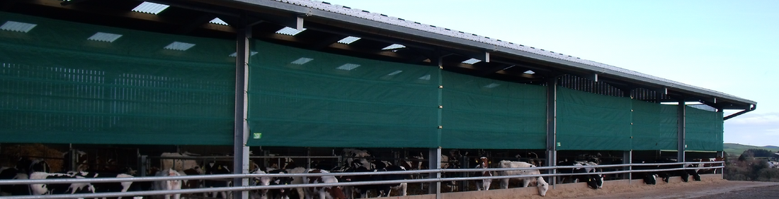 How To Prepare Cow Sheds for the Wild Winter Weather