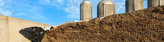 Maximizing Silage Safety with Silostop: Protect Your Forage and Livestock