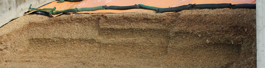 3 Ways to Reduce Dry Matter (DM) Losses in Your Silage Clamp